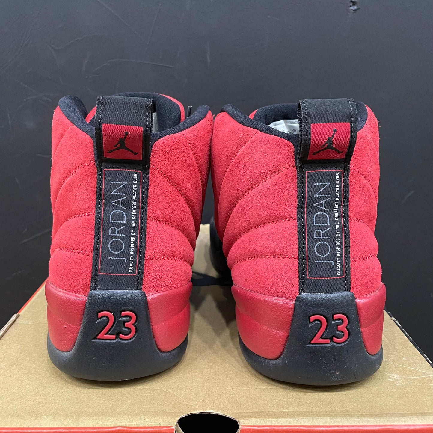 Air Jordan 12 Reverse Flu Game (USED)